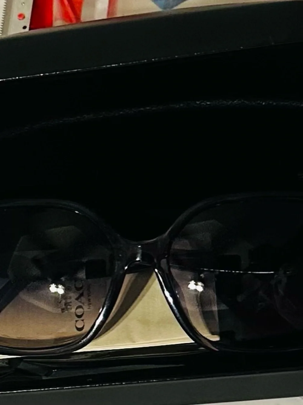 Coach Purple Oversized Women's Sunglasses